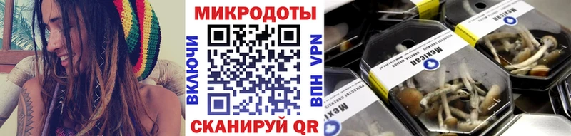 Псилоцибиновые грибы прущие грибы  Купить  Кириллов 